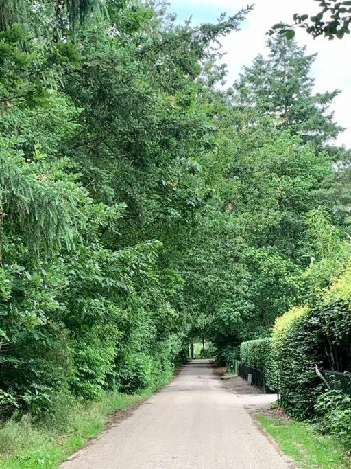 Op Boszicht Genieten Van De Rust & Natuur プッテン エクステリア 写真