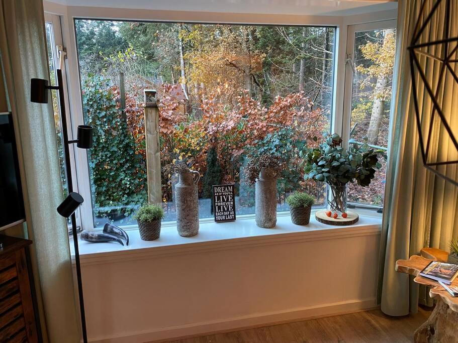 Op Boszicht Genieten Van De Rust & Natuur プッテン エクステリア 写真
