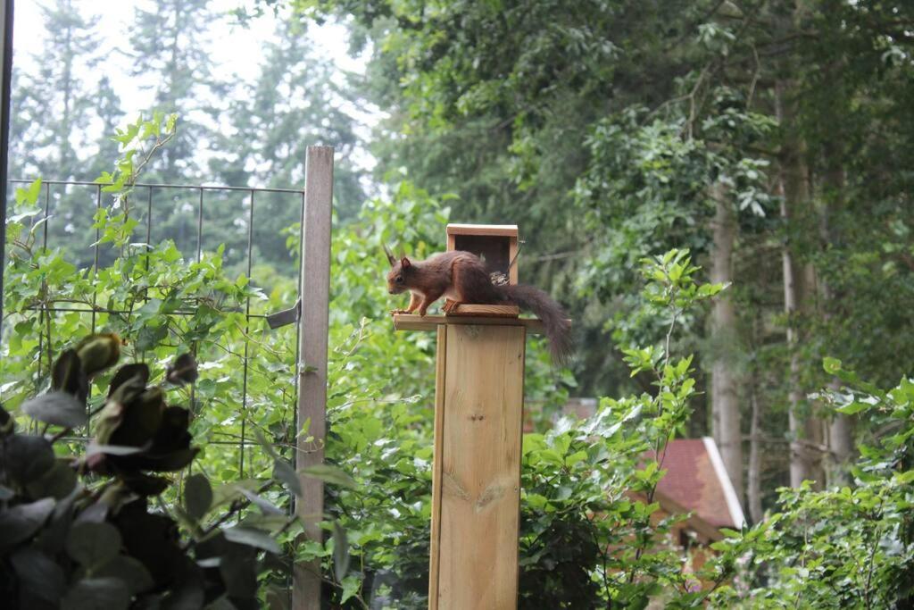 Op Boszicht Genieten Van De Rust & Natuur プッテン エクステリア 写真